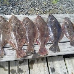 great catches 3 20200322