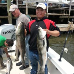 great catches 32 20200322