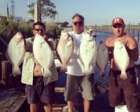 great catches 5 20200322