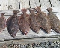 great catches 7 20200322