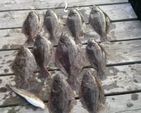 great catches 8 20200322