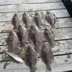 great catches 8 20200322
