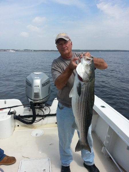 Home  UP FRONT BAIT AND TACKLE - Keyport, NJ Tackle Shop